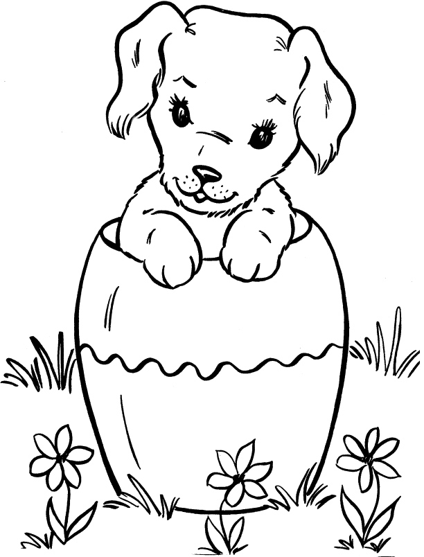 612x804 Cute Girl Dog Coloring Page Dog Adult Coloring