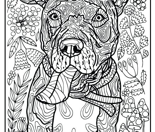 500x425 American Pitbull Coloring Pages Coloring Page Coloring Pages