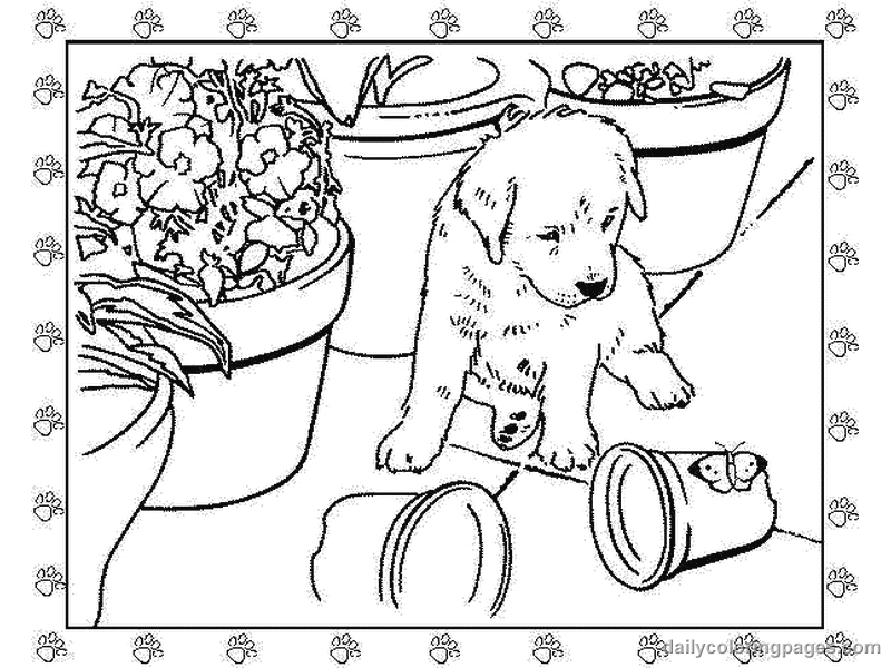 800x600 Cute Puppy Coloring Pages