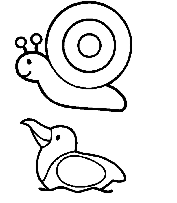 612x700 Easy Animal Coloring Page