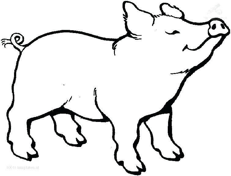 756x576 Easy Animal Coloring Pages Animal Coloring Pages Pig On A Farm