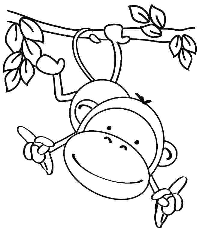 666x769 Simple Coloring Pages For Kids Jungle Printable Coloring Pages