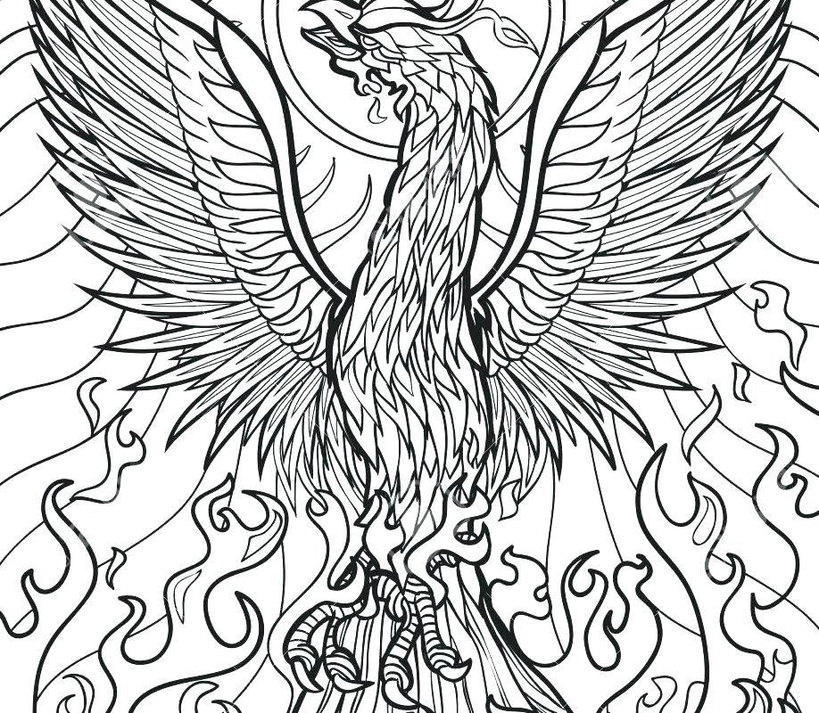 918x800 Easy Animal Coloring Pages Awesome Ntable Animal Coloring Pages