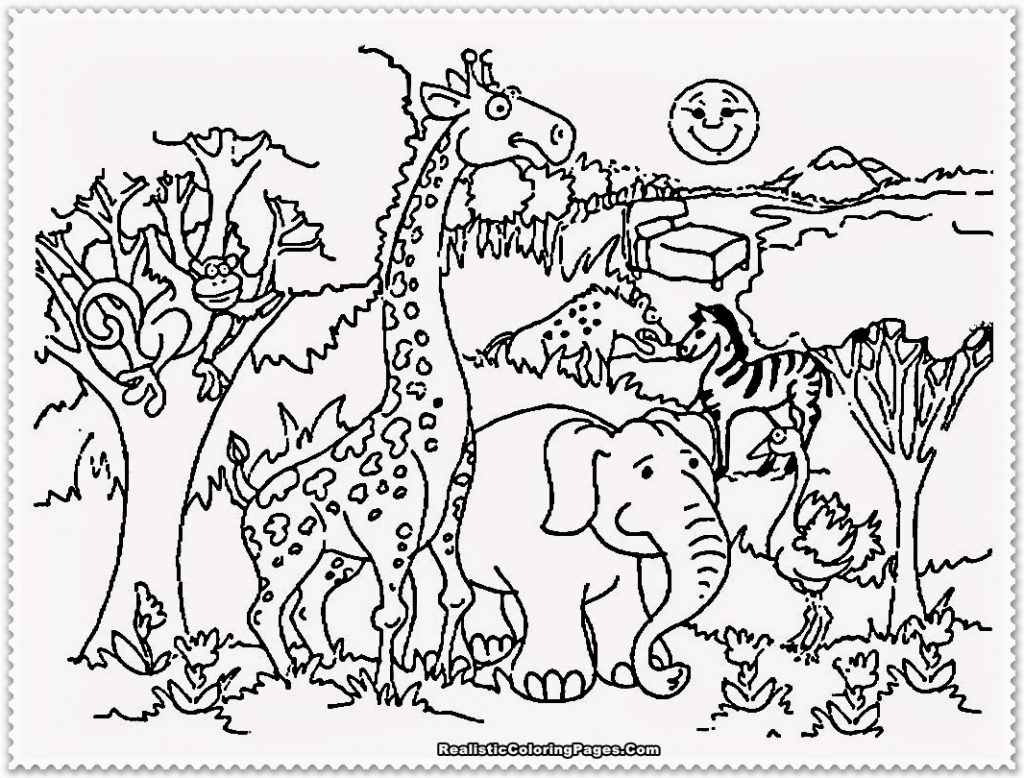 1024x778 Easy Zoo Animal Pictures To Color Largest Coloring Sheets 3 In New