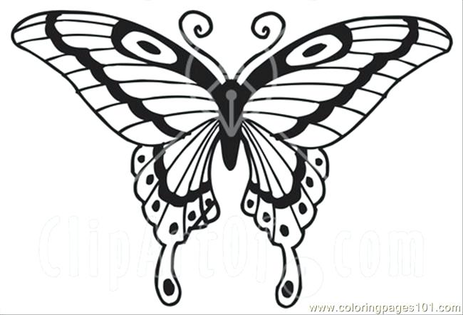 650x442 Coloring Page Of Butterfly Intricate Butterfly Coloring Pages