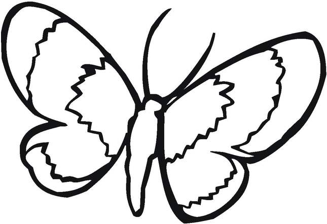 645x442 Easy Butterfly Coloring Pages