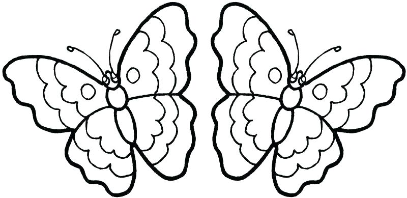 800x389 Butterflies Coloring Page Simple Butterfly Coloring Pages