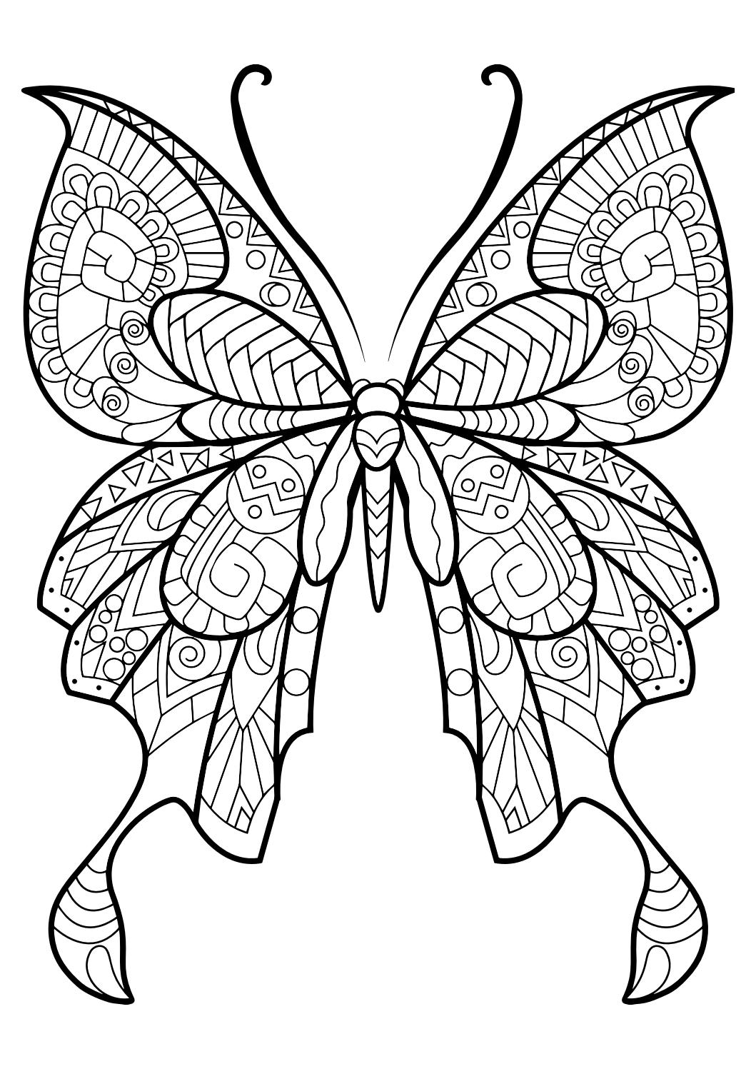 1059x1497 New Easy Butterfly Adult Coloring Pages Design Printable