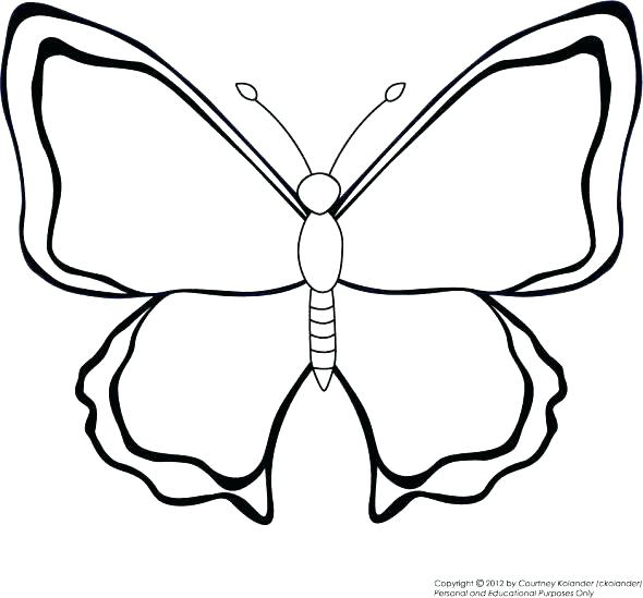 590x549 Simple Butterfly Coloring Pages Also Simple Butterfly Coloring