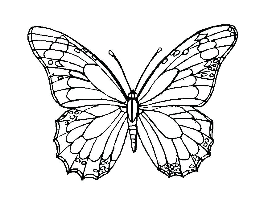 869x671 Simple Butterfly Coloring Pages Butterfly Wings Coloring Pages