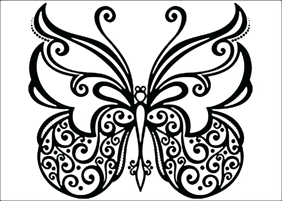 986x701 Simple Butterfly Drawing Coloring Page Zahlkarte.site