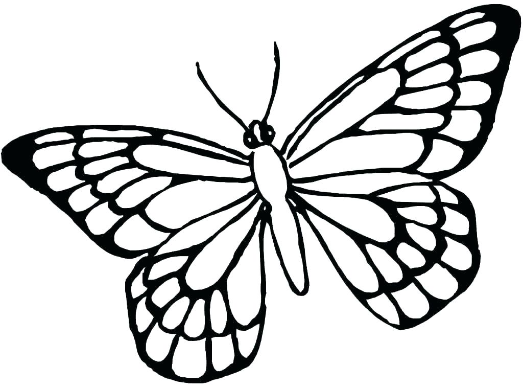 1024x759 Butterfly Coloring Page Butterfly Coloring Pages Coloring Page