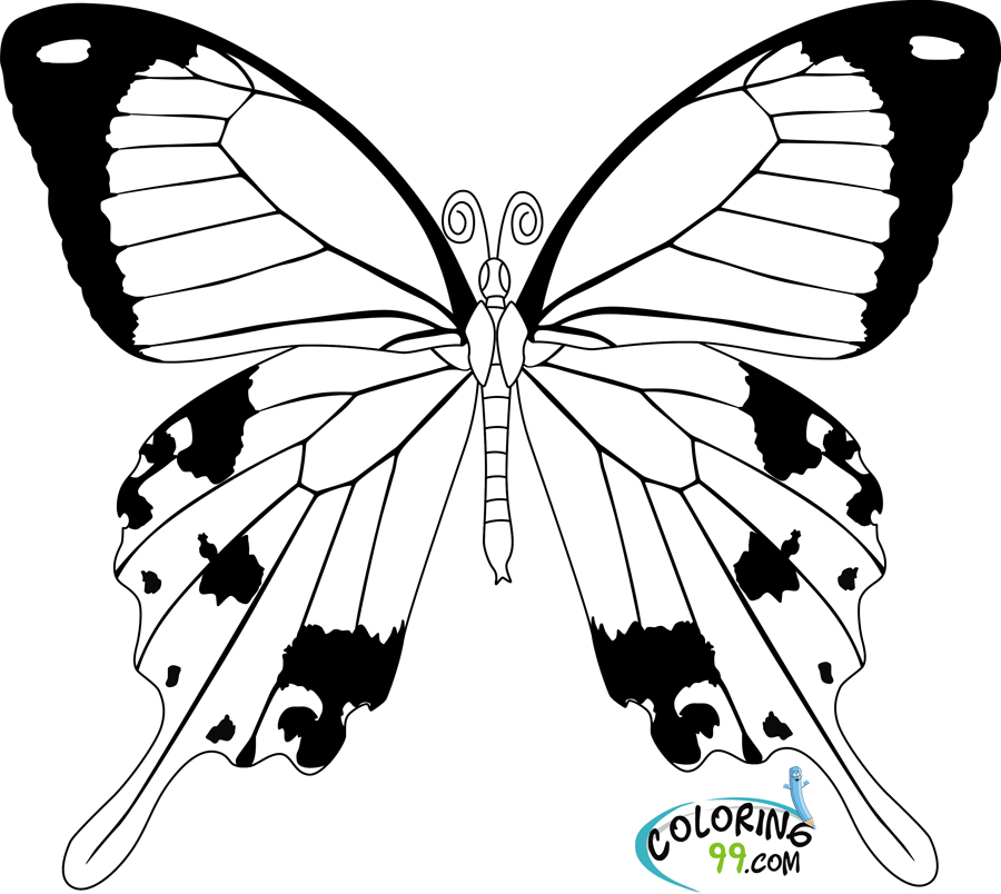 900x804 Butterfly Coloring Pages Team Colors