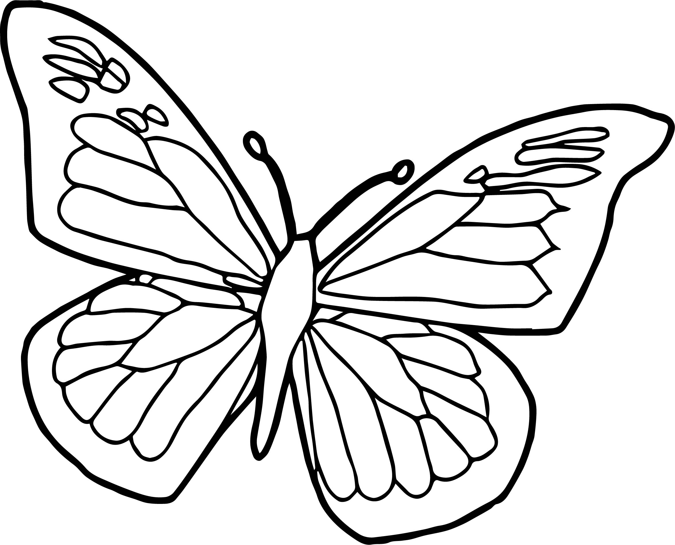 Unique Cartoon Butterfly Coloring Pages Design Printable 2351x1896 Unique Cartoon Butterfly Coloring Pages Design Printable