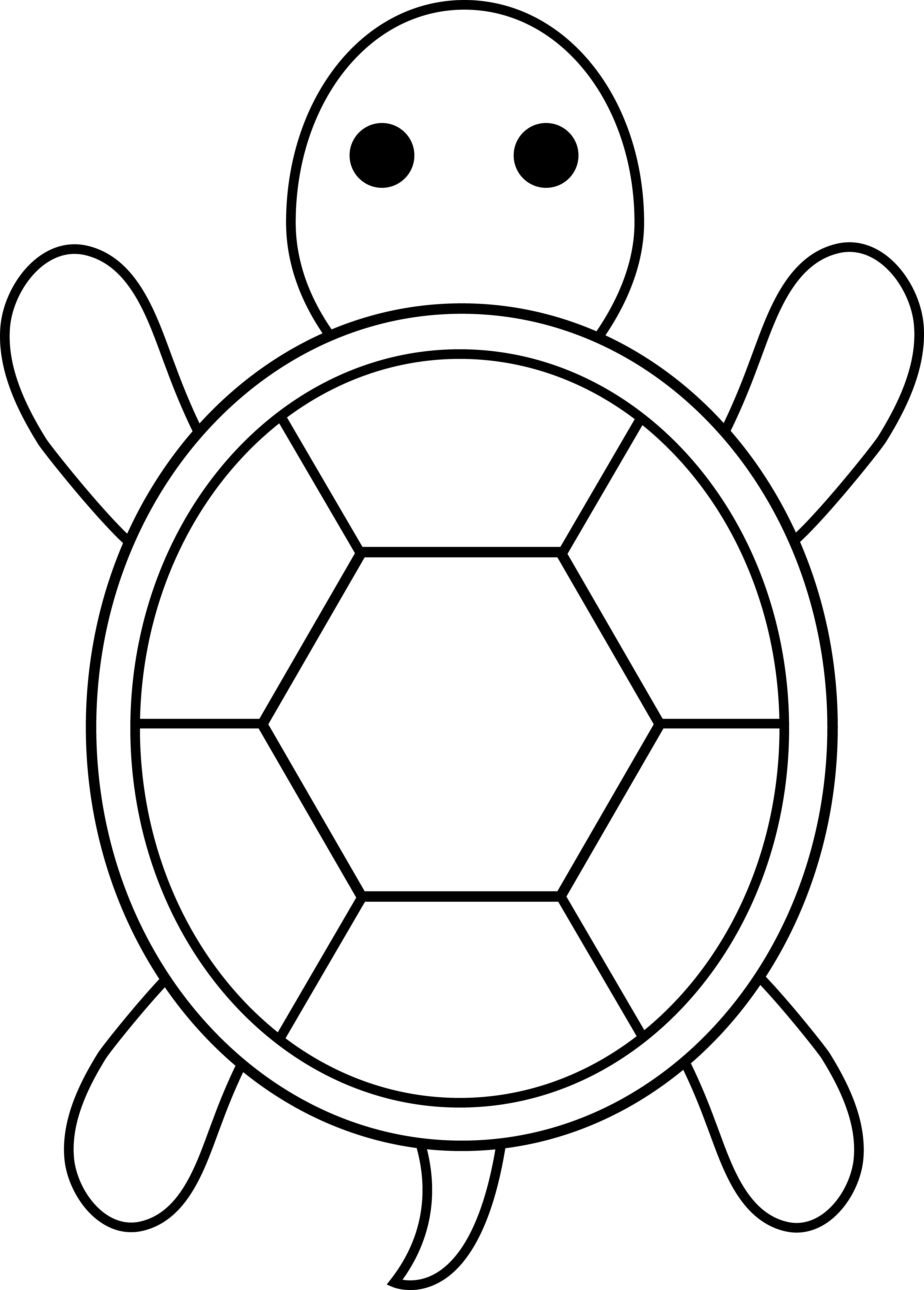 5178x7226 Turtle For Applique Applique Turtle, Outlines