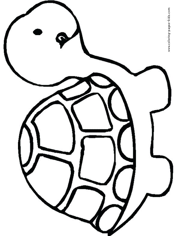 Cute Turtle Coloring Pages Simple Color Pages Preschool To Amusing 590x787 Cute Turtle Coloring Pages Simple Color Pages Preschool To Amusing