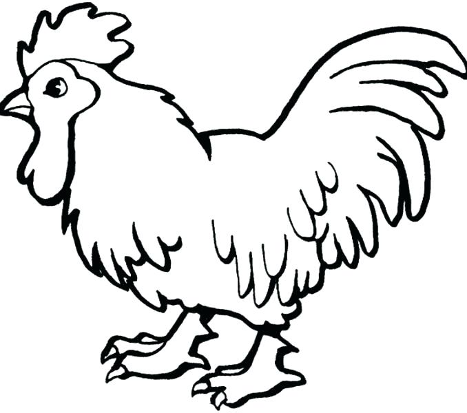 Animal Coloring Pages For Preschoolers Animal Coloring Pages Kids 678x600 Animal Coloring Pages For Preschoolers Animal Coloring Pages Kids