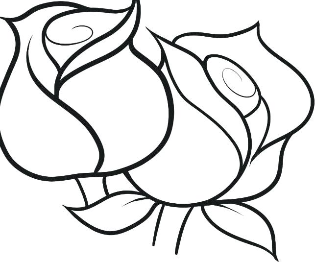 643x535 Flowercoloring Pages