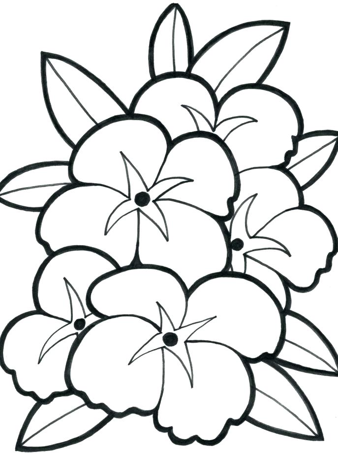 687x920 Coloring Pages Flowers Printable Sensational Design Print Out