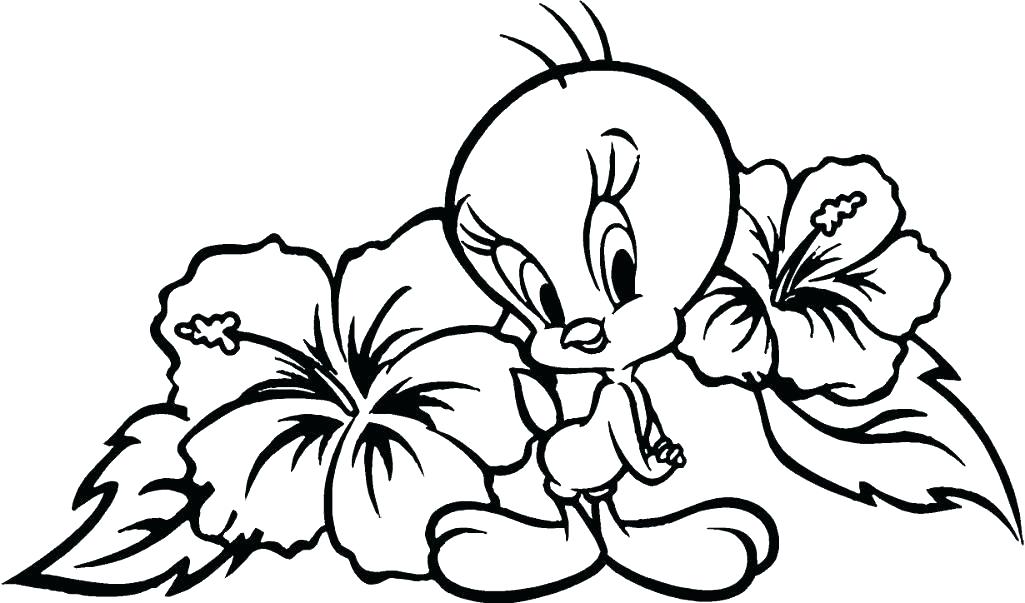 Easy Flower Coloring Pages Flower Color Pages Medium Size 1025x603 Easy Flower Coloring Pages Flower Color Pages Medium Size