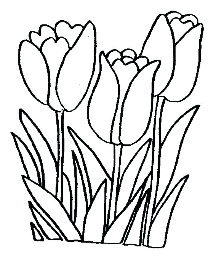 Easy Flower Coloring Pages Simple Flower Coloring Pages Simple 736x892 Easy Flower Coloring Pages Simple Flower Coloring Pages Simple