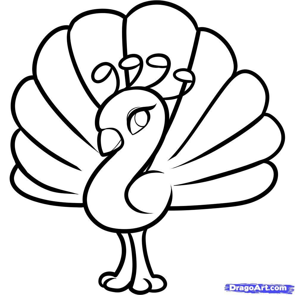 Simple Animal Coloring Pages How To Draw A Peacock For Kids 991x991 Simple Animal Coloring Pages How To Draw A Peacock For Kids