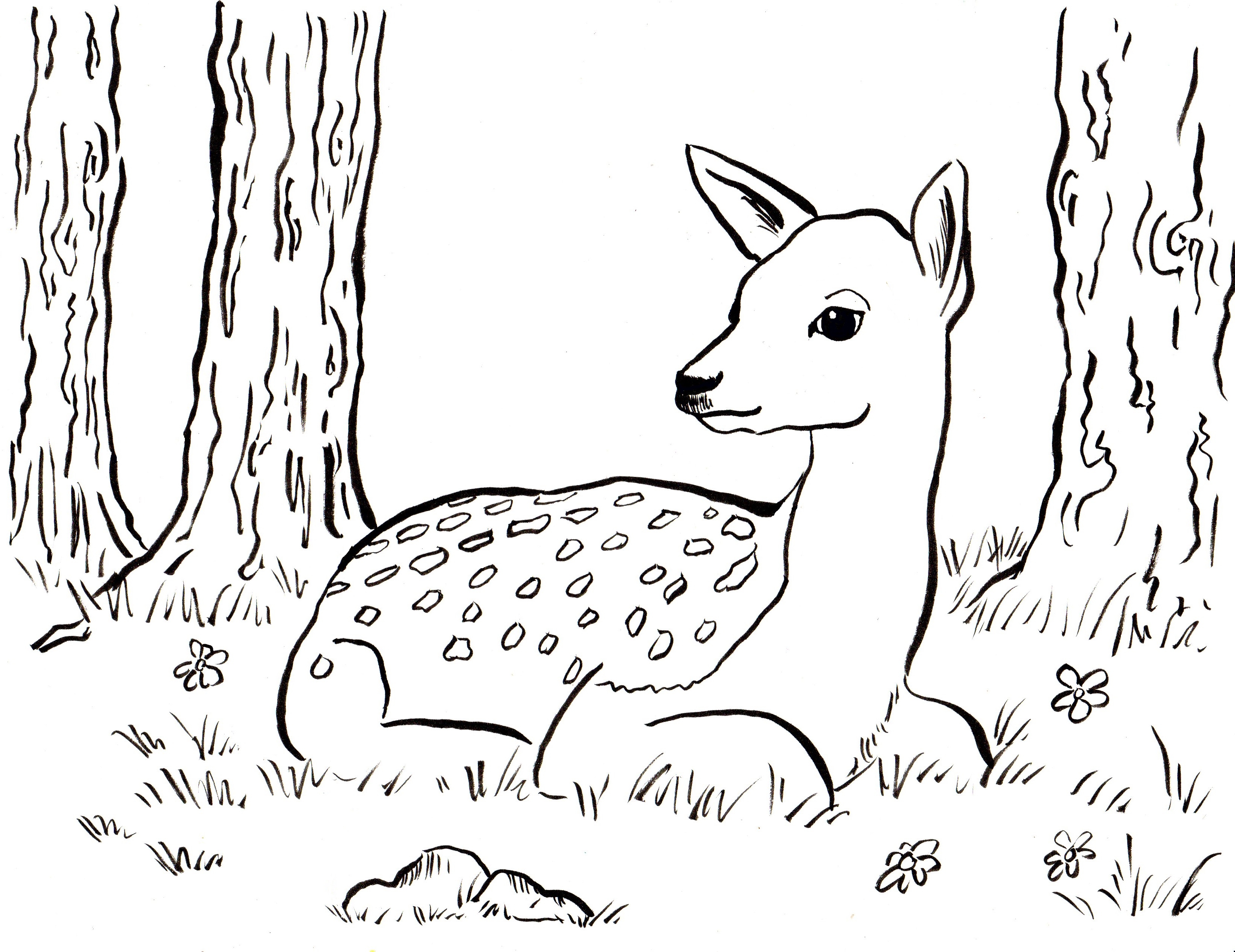 Reindeer Animal Coloring Pages Easy Coloring Pages Printable 3300x2545 Reindeer Animal Coloring Pages Easy Coloring Pages Printable