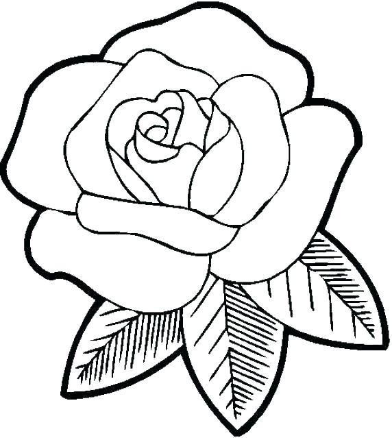 Free Easy Coloring Pages Printable Coloring Coloring Pages Free 572x639 Free Easy Coloring Pages Printable Coloring Coloring Pages Free
