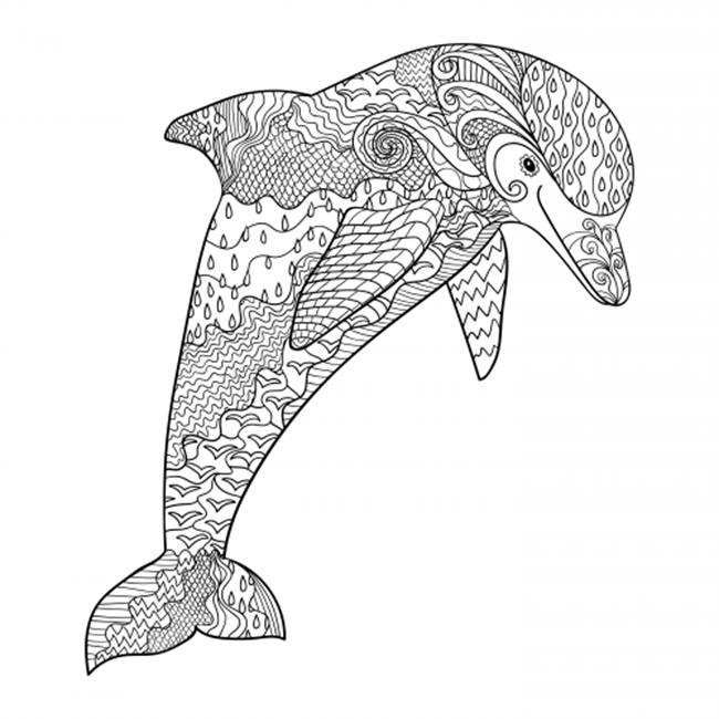 Easy Dolphin Coloring Pages