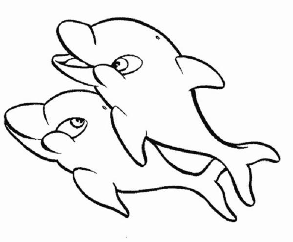 600x495 Dolphin Coloring Pages