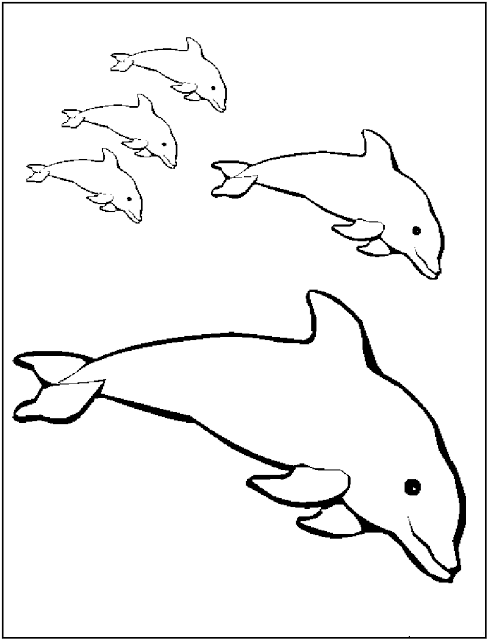 488x640 Free Printable Dolphin Coloring Pages For Kids Free Printable