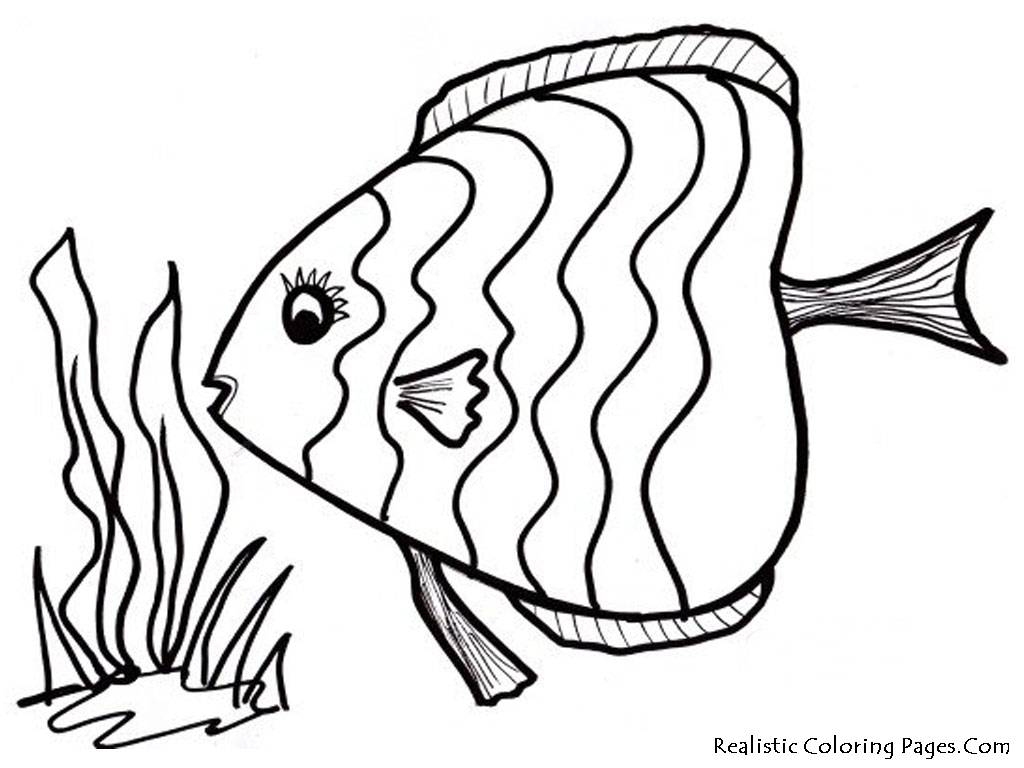 1024x768 Easy Coloring Pages Of Fish New Free Printable Shapes Big For Kids