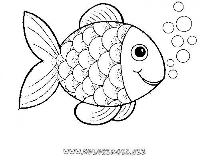 730x547 Epic Fish Coloring Pages For Preschoolers