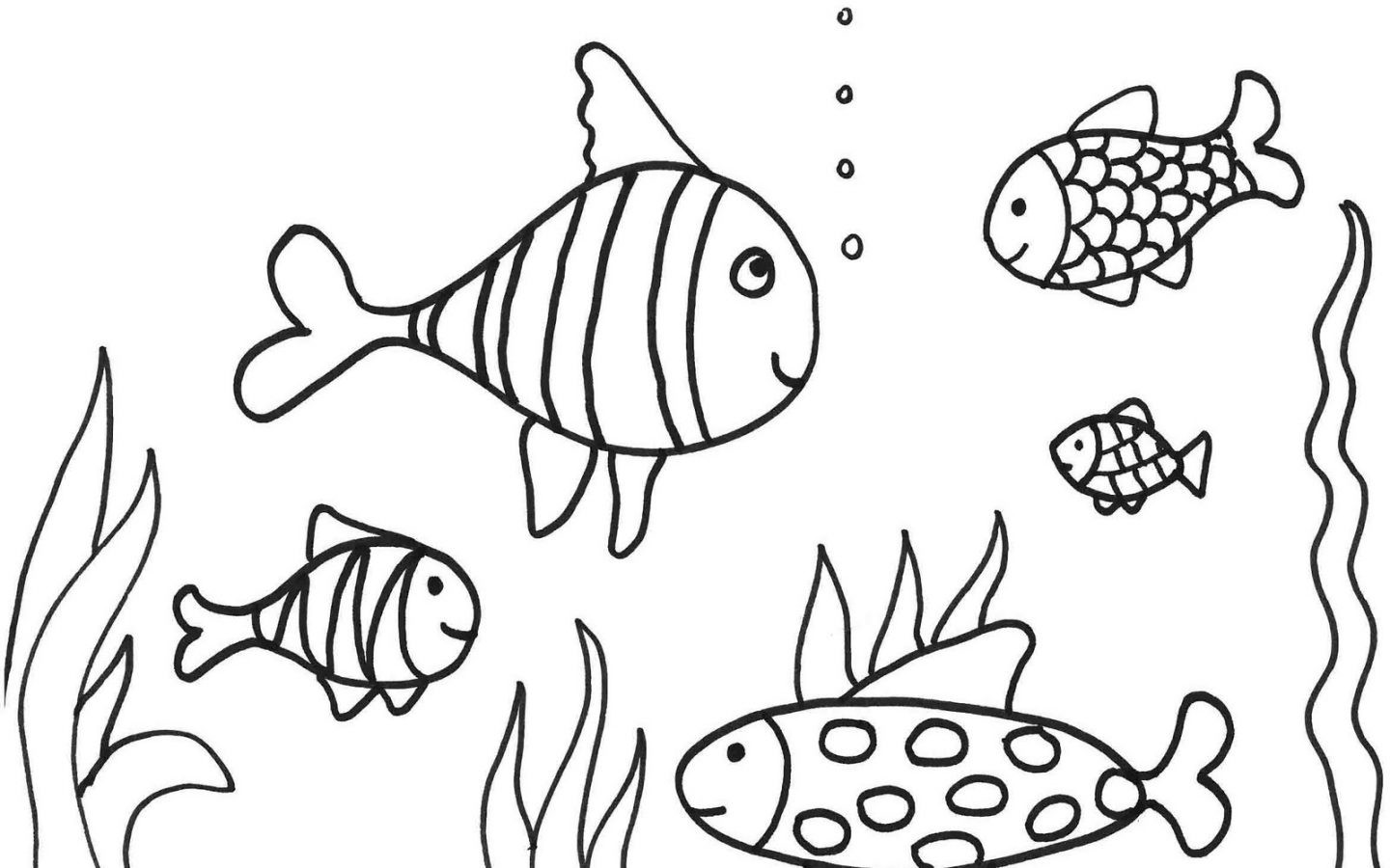 1440x900 Terrific Puffer Fish Coloring Page Easy Pages Of Copy