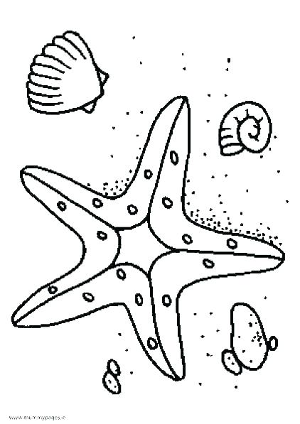 422x597 Coloring Pages Starfish Star Fish Coloring Page Starfish Pages