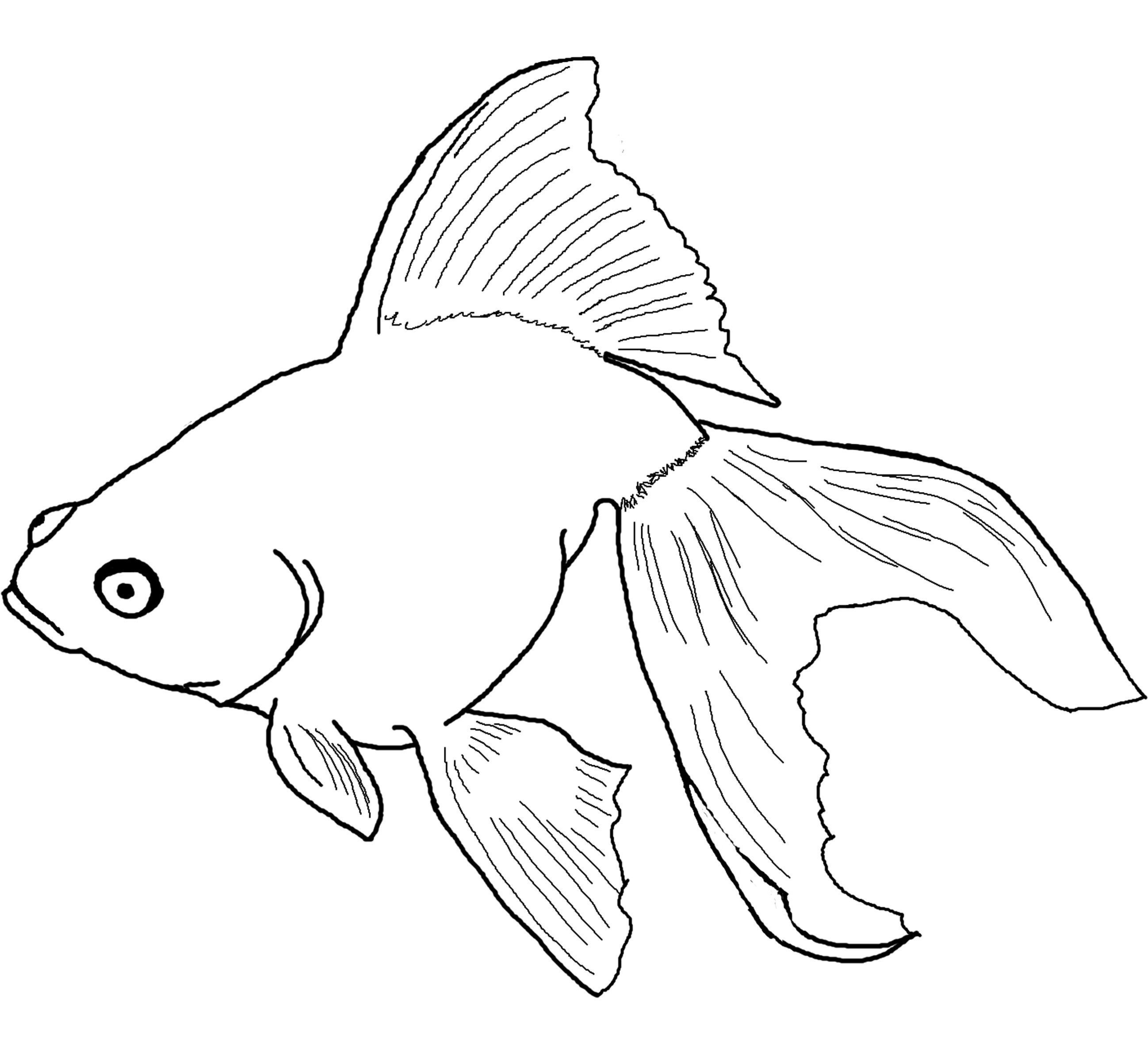 2596x2400 Easy Coloring Pages Of Fish Fresh Rainbow Fish Coloring Page