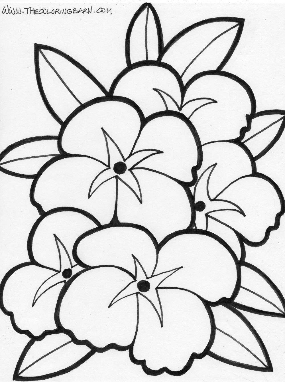 Easy Flower Coloring Pages Acpra 1000x1339 Easy Flower Coloring Pages Acpra