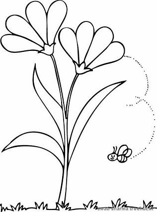 Easy Flower Coloring Pages 316x425 Easy Flower Coloring Pages