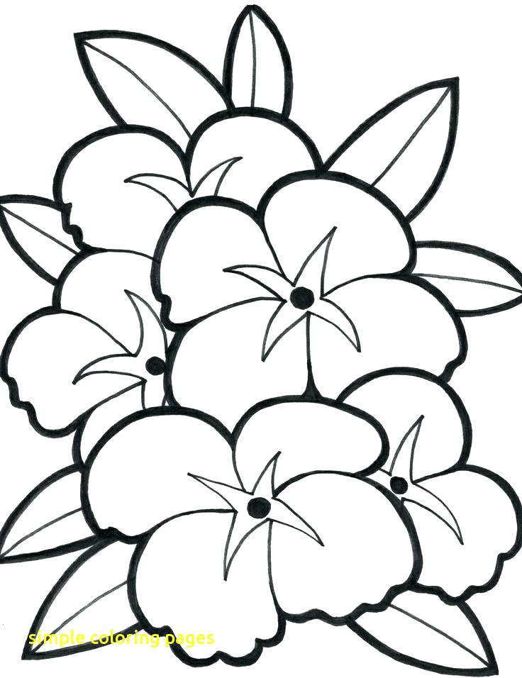 Flower Coloring Pages Simple Simple Coloring Pages With Easy 736x956 Flower Coloring Pages Simple Simple Coloring Pages With Easy