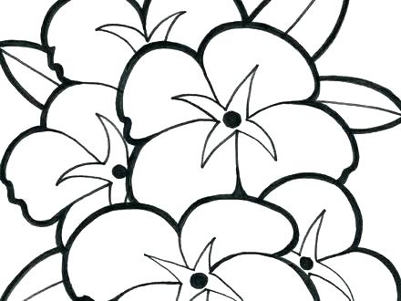 Simple Flower Coloring Pages Coloring Pages Bunny Face Draw Easy 440x330 Simple Flower Coloring Pages Coloring Pages Bunny Face Draw Easy