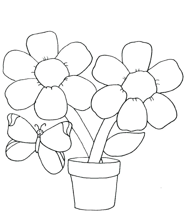 Coloring Pages Of Flowers Easy Flower Coloring Pages Flower 790x922 Coloring Pages Of Flowers Easy Flower Coloring Pages Flower