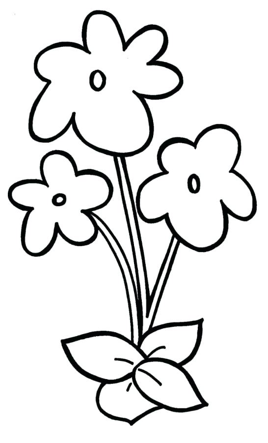 Easy Flower Coloring Pages Easy Violet Flower Coloring Page 546x900 Easy Flower Coloring Pages Easy Violet Flower Coloring Page