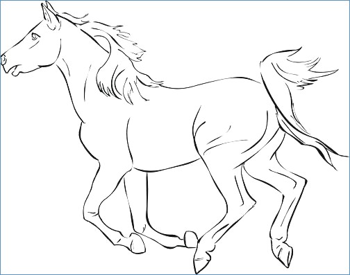 Cute Horse Coloring Page 504x397 Cute Horse Coloring Page