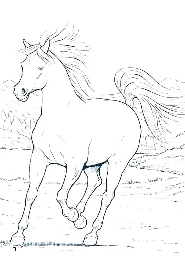 Free Horse Coloring Pages Horses Coloring Pages Printable As Well 600x847 Free Horse Coloring Pages Horses Coloring Pages Printable As Well