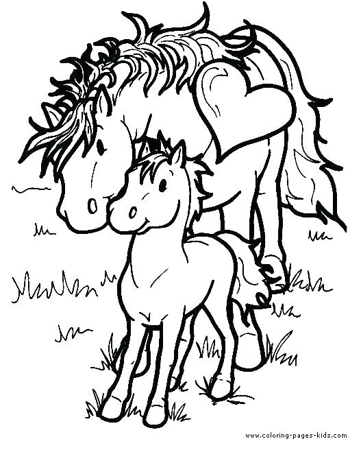 Horse Color Calculator Pictures Printable Coloring Horse Coloring 527x656 Horse Color Calculator Pictures Printable Coloring Horse Coloring