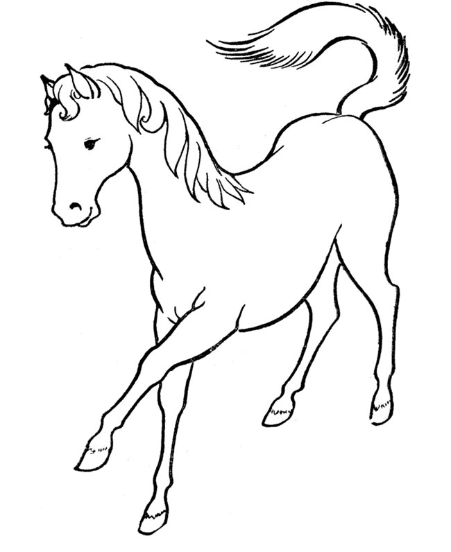 Horse Template 650x796 Horse Template