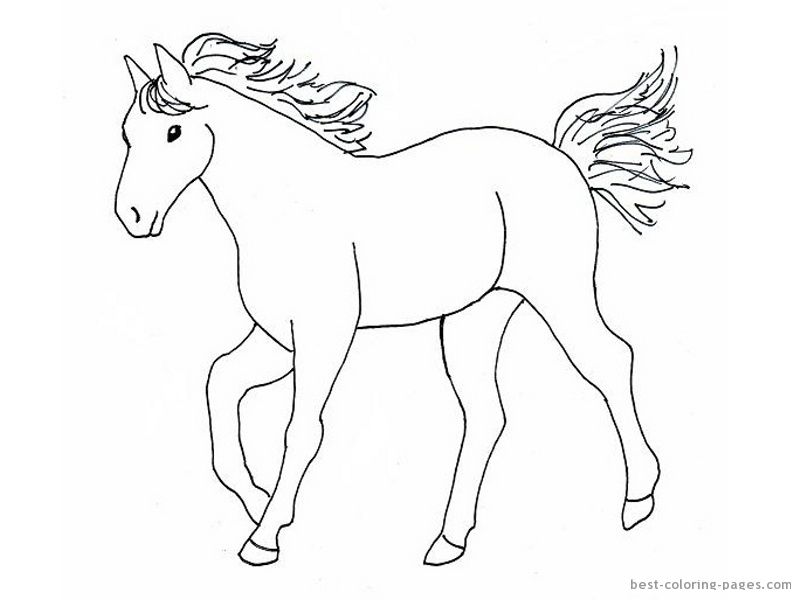 How To Draw Horses Coloring Page 801x600 How To Draw Horses Coloring Page