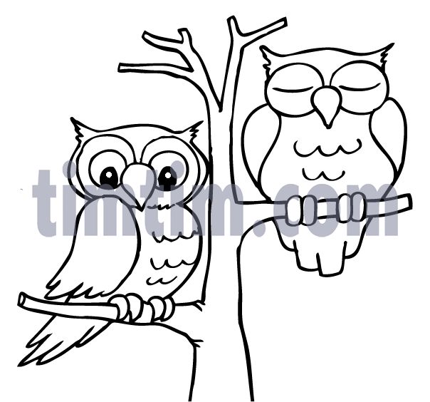 604x564 48 Best Owl Shower Images On Adult Coloring, Coloring