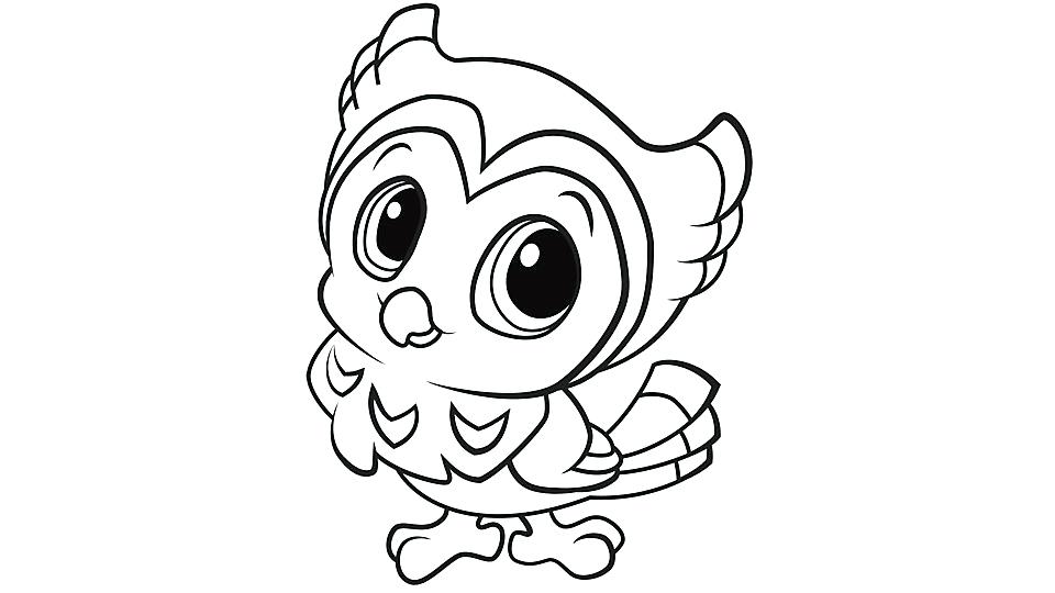 960x540 Printable Owls Free Printable Owl Coloring Pages Coloring Pages