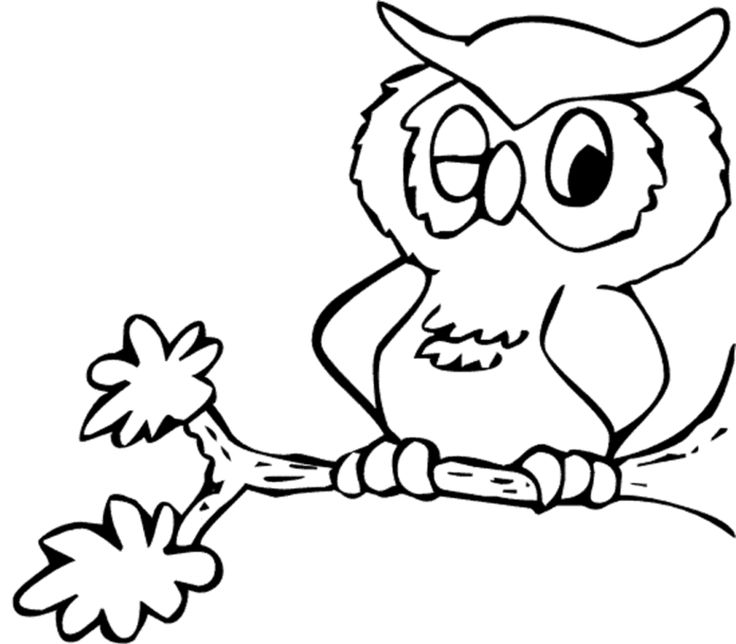 736x644 Splendid Design Inspiration Free Owl Coloring Pages Best 25 Ideas